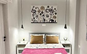 Blueline Apartment 2